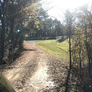 Meet your Posher, Carlie